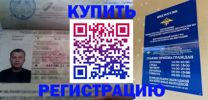 прописка законно в Болотном